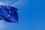 eu_flag